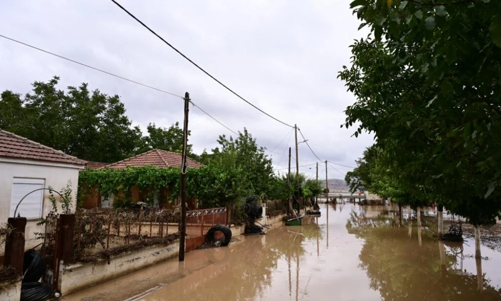 Πλημμύρες: Κίνδυνος λεπτοσπείρωσης στον Παλαμά Καρδίτσας